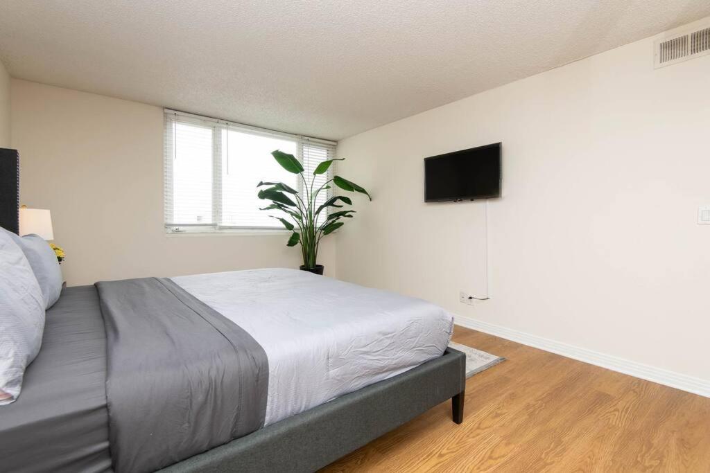 Apartment Sleep 7 Ocean View Two Bedroom Venice Beach 5 Min Walk Los Angeles